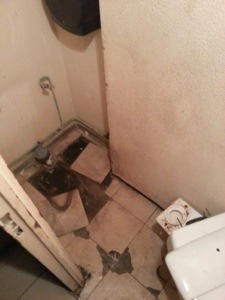 20130228-193532.jpg