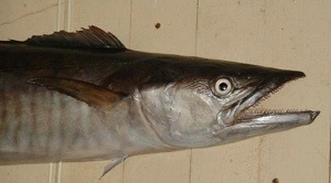 20130419-103417.jpg