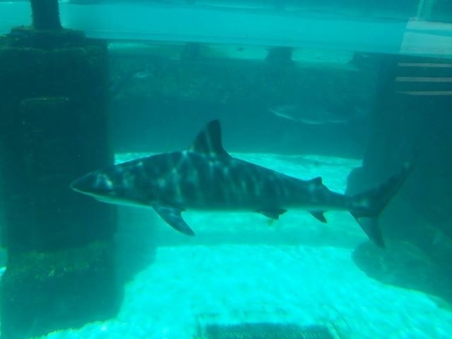 20130531-100555.jpg