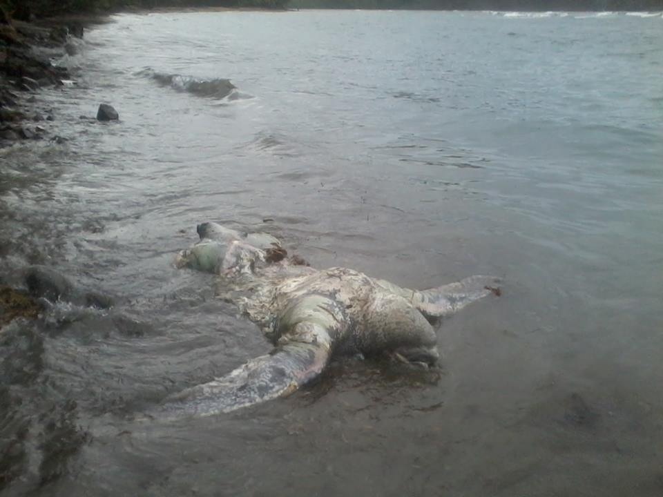 20130603-085358.jpg