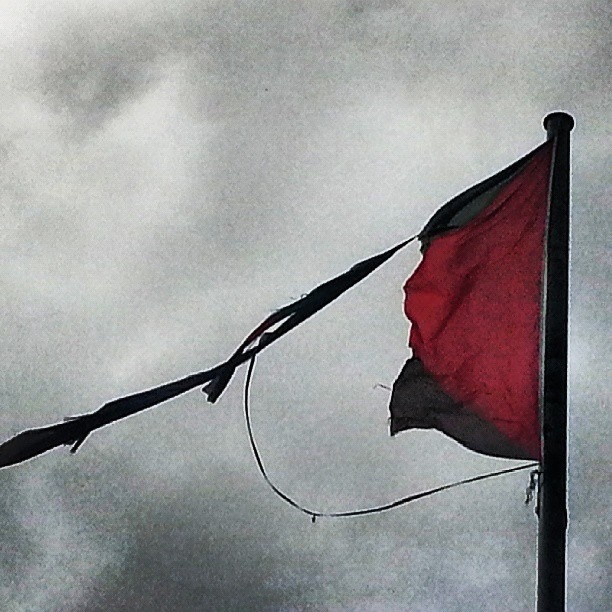 20130606-145315.jpg