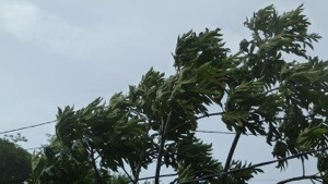 20130709-144205.jpg