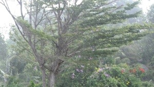 20130709-144221.jpg