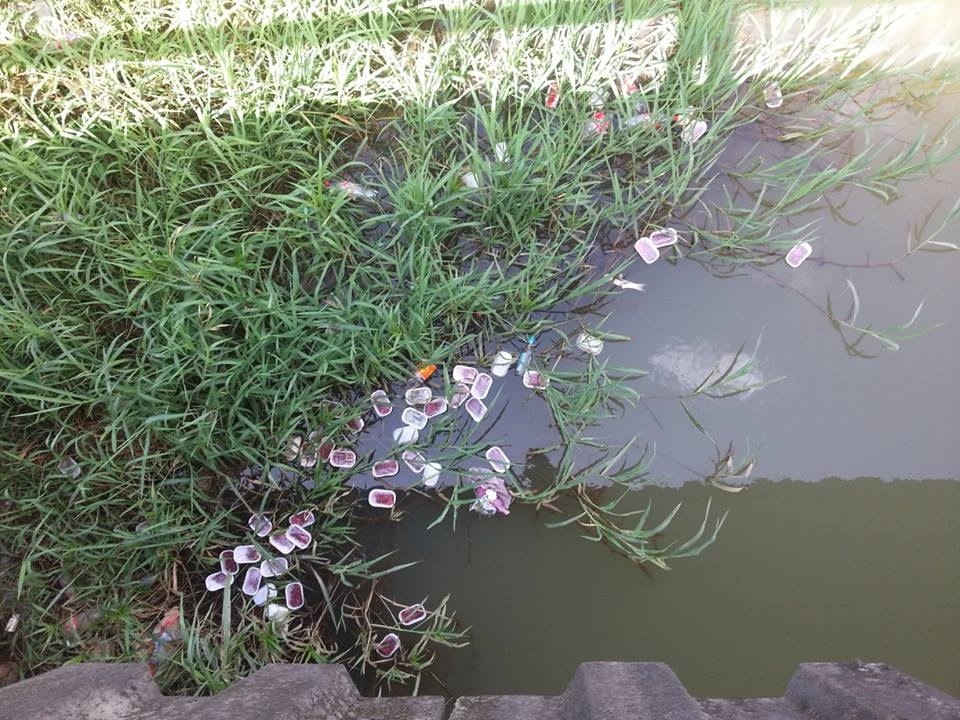 20130725-131350.jpg