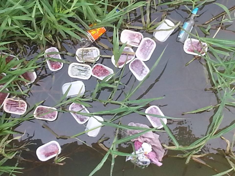 20130725-131425.jpg