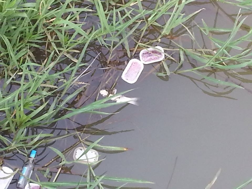 20130725-131456.jpg