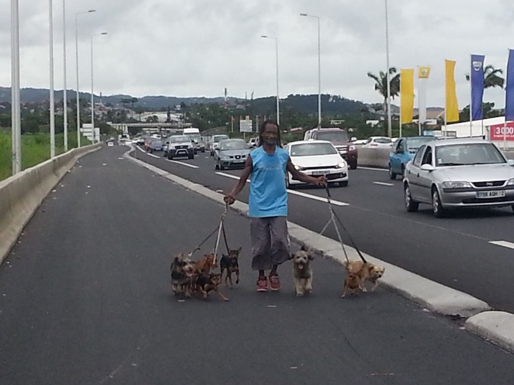 20130902-100559.jpg