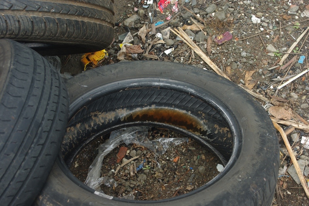 20130903-111711.jpg