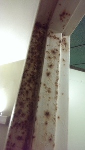 20130920-222942.jpg