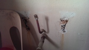20130920-223225.jpg