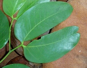 20131221-102010.jpg