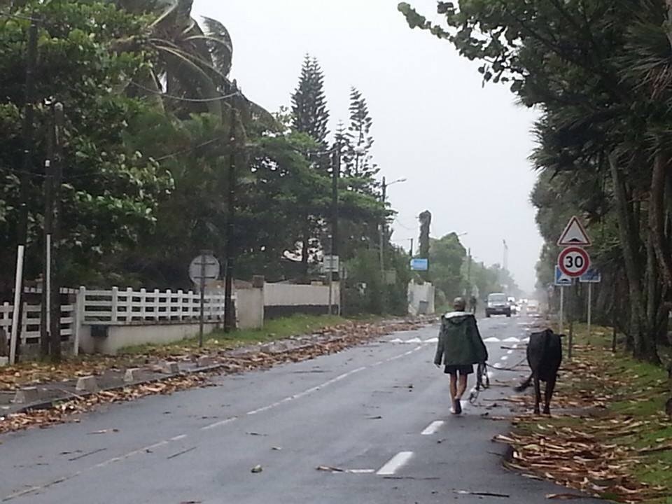 20140102-084954.jpg
