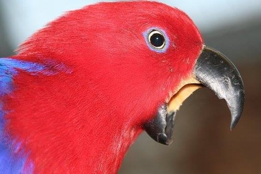 20140601-175618-64578687.jpg