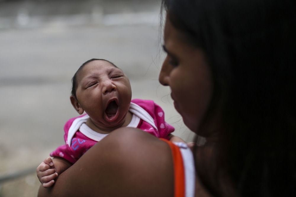 10247126-zika-debats-autour-du-lien-avec-la-microcephalie
