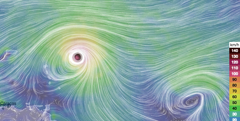 irma-mardi