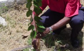   Faisons table rase de l’épandage aérien, œuvrons pour un projet global