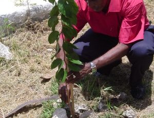   Faisons table rase de l’épandage aérien, œuvrons pour un projet global