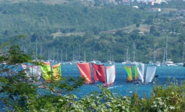 Yoles Rondes de Martinique : Prix des Associations à Sainte Anne 