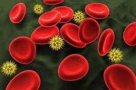 Témoignage d'un jeune atteint du sida en Martinique : "je ne me protège pas systématiquement"