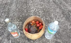 #Quimbois au carrefour Mahault en #Martinique ?