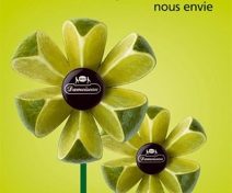 Guadeloupe/Martinique : La guerre des RHUMS est déclarée