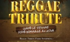 Reggae Tribute...quand le reggae rend un vibrant hommage au zouk