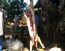 Ça y est la Martinique débloque le...porc