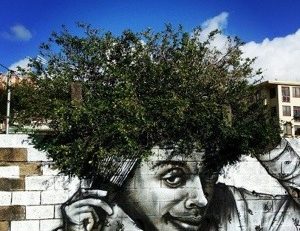 L'image du jour (19 février 2013)