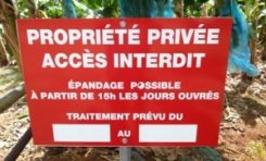 La Région Martinique "enfin" contre l'épandage aérien