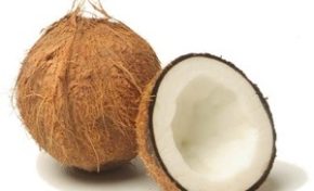 La coco ou le coco ? Qui a raison ?