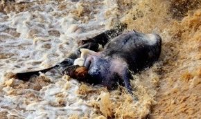 L'image du jour (16 avril 2013)