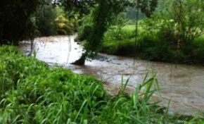 MÉTÉO : La #Martinique en vigilance Orange, la Guadeloupe en Jaune