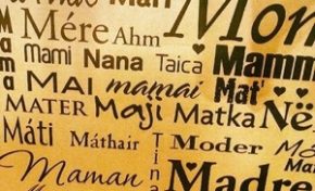 L'image du jour (26 mai 2013)