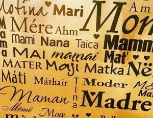 L'image du jour (26 mai 2013)