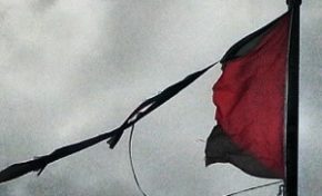 L'image du jour (6 juin 2013)