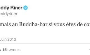 Teddy Riner...le revers de la médaille