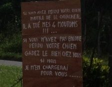 L'image du jour (16 juin 2013)