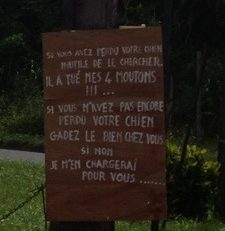 L'image du jour (16 juin 2013)