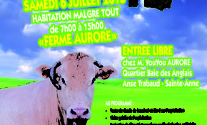 Valorisation de la viande de boeuf local
