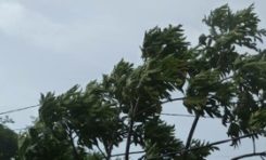 La tempête tropicale #Chantal : les premières photos
