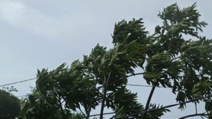 La tempête tropicale #Chantal : les premières photos