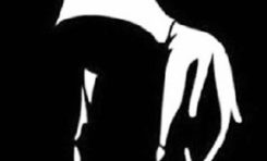 L'image du jour (14juillet 2013)