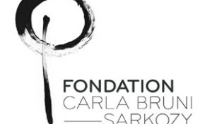 Carlabrunisarkozy.org financé par les français...410 000 euros