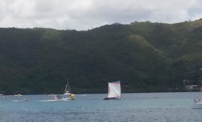 Tour des Yoles de #Martinique 2013 : Dr Roots/Zapetti gagne le Prologue