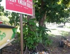 L'image du jour (17 août 2013)