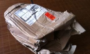 Les aventures d'Osiris en #Martinique