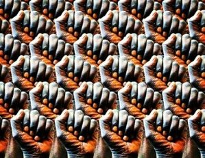 L'image du jour (26 août 2013)