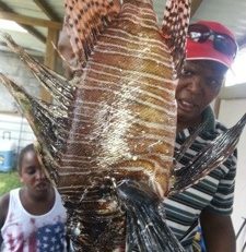 L'image du jour (28 août 2013)