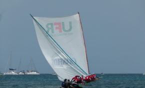 #TDY2013 : UFR/Chanflor Champion