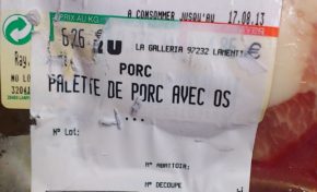 ... et les mêmes pigeons...